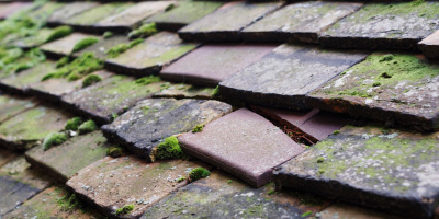 Allt Yr Yn roof repair costs